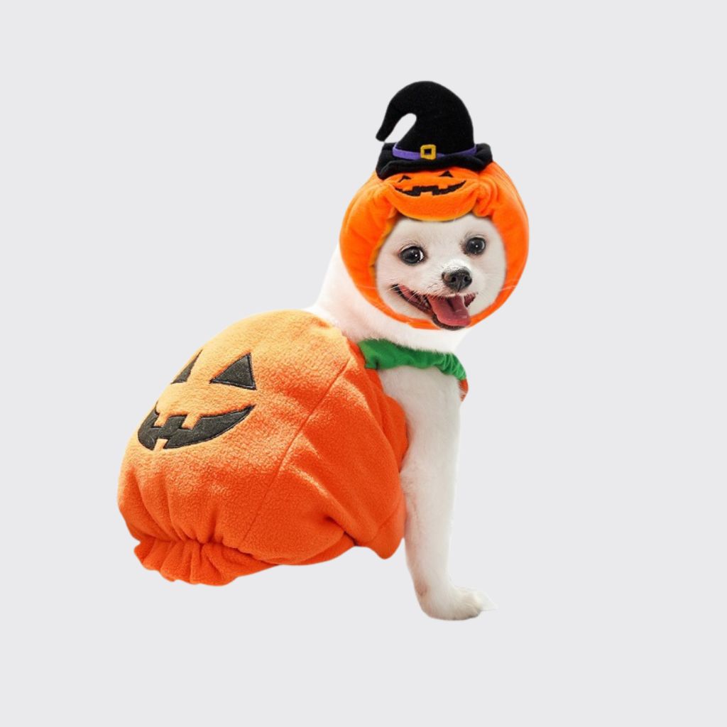 Halloween Pumpkin Pet Vest – Funny Costume Harness for Dogs & Cats