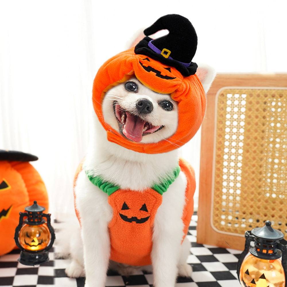 Halloween Pumpkin Pet Vest – Funny Costume Harness for Dogs & Cats