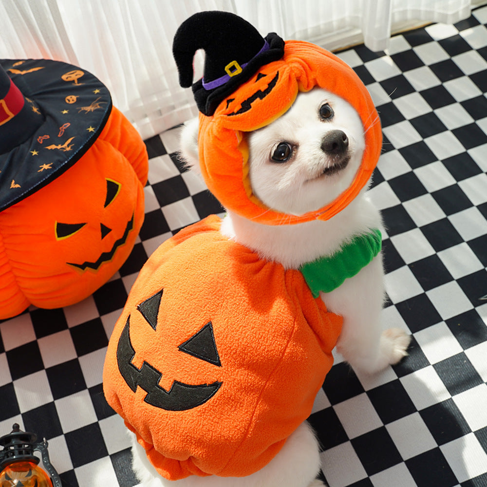 Halloween Pumpkin Pet Vest – Funny Costume Harness for Dogs & Cats