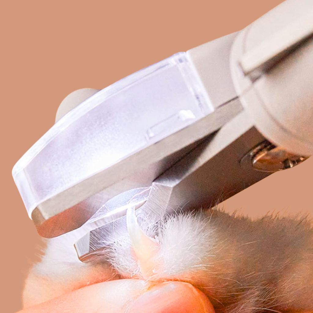 Pet Nail Clippers with LED Light – Safe Cat & Dog Trimmer