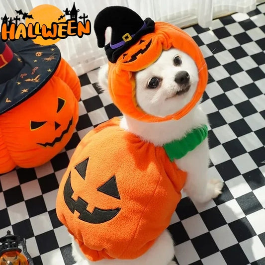 Halloween Pumpkin Pet Vest – Funny Costume Harness for Dogs & Cats
